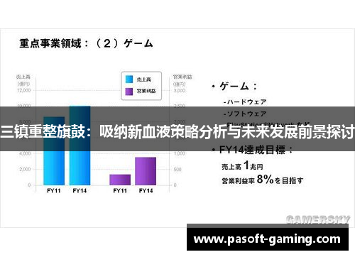 三镇重整旗鼓:吸纳新血液策略分析与未来发展前景探讨 三镇重整旗鼓:吸纳新血液策略分析与未来发展前景探讨