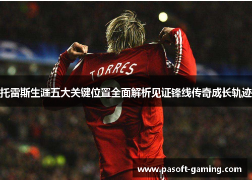托雷斯生涯五大关键位置全面解析见证锋线传奇成长轨迹 托雷斯生涯五大关键位置全面解析见证锋线传奇成长轨迹