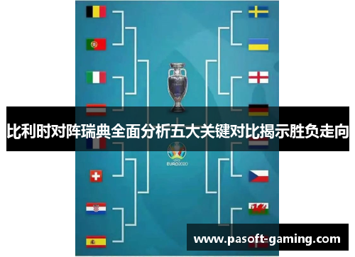 比利时对阵瑞典全面分析五大关键对比揭示胜负走向