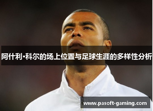 阿什利·科尔的场上位置与足球生涯的多样性分析