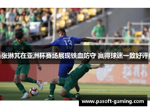 张琳芃在亚洲杯赛场展现铁血防守 赢得球迷一致好评 张琳芃在亚洲杯赛场展现铁血防守 赢得球迷一致好评