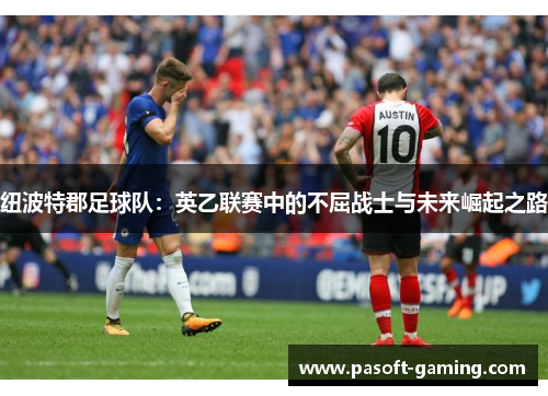 纽波特郡足球队:英乙联赛中的不屈战士与未来崛起之路 纽波特郡足球队:英乙联赛中的不屈战士与未来崛起之路