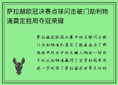 萨拉赫欧冠决赛点球闪击破门助利物浦奠定胜局夺冠荣耀 萨拉赫欧冠决赛点球闪击破门助利物浦奠定胜局夺冠荣耀